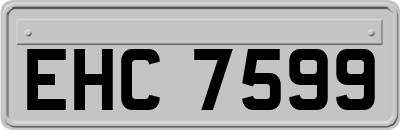 EHC7599