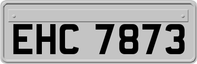 EHC7873