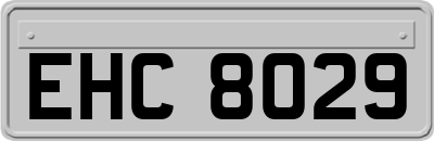 EHC8029