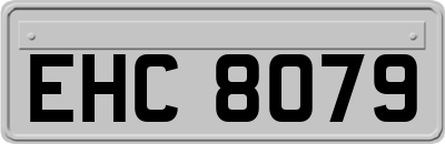 EHC8079