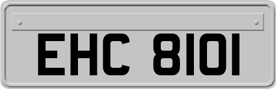 EHC8101