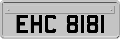EHC8181