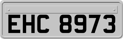 EHC8973