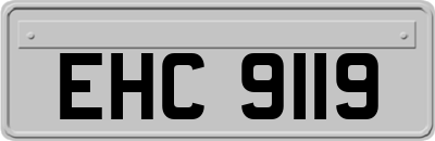 EHC9119