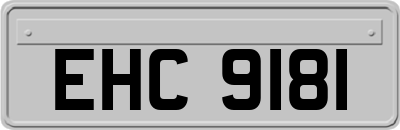 EHC9181