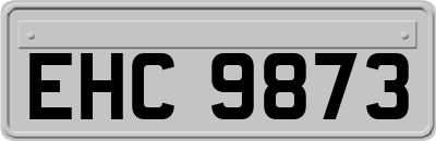 EHC9873