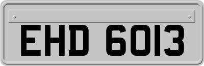 EHD6013