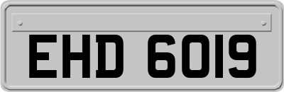 EHD6019