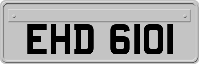 EHD6101