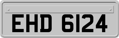 EHD6124