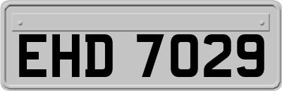 EHD7029
