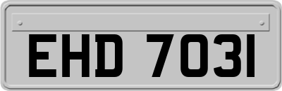 EHD7031