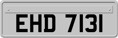 EHD7131