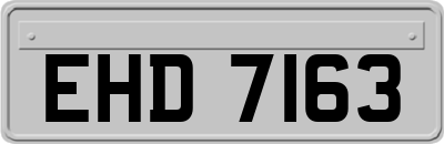 EHD7163
