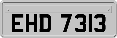EHD7313