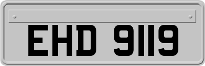 EHD9119