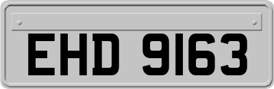 EHD9163