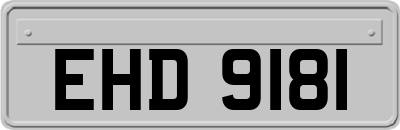 EHD9181