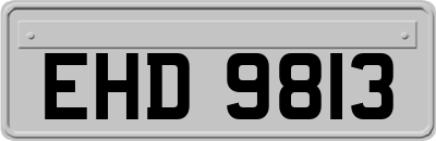EHD9813