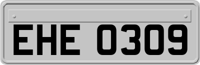 EHE0309