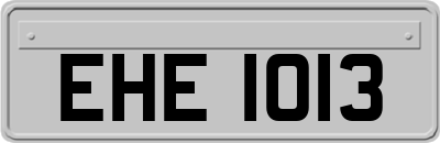 EHE1013