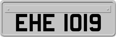 EHE1019