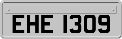EHE1309