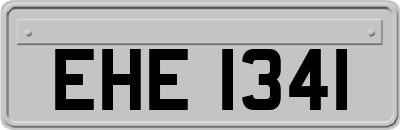 EHE1341