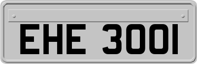 EHE3001