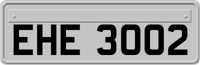 EHE3002