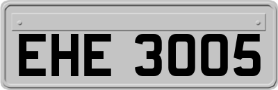EHE3005