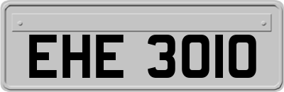 EHE3010