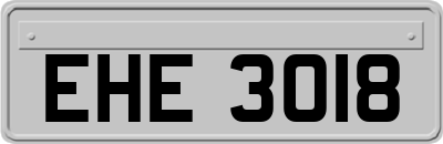 EHE3018