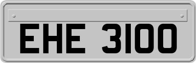EHE3100