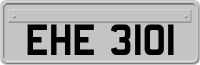 EHE3101