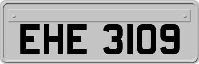 EHE3109