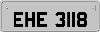 EHE3118