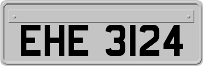 EHE3124