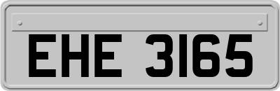 EHE3165