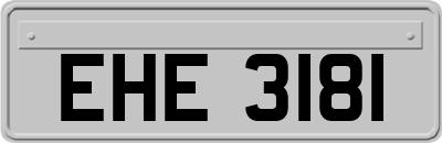 EHE3181