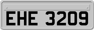 EHE3209