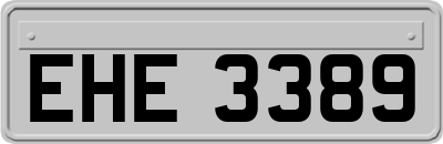 EHE3389
