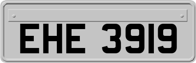 EHE3919