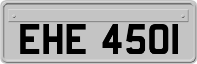 EHE4501