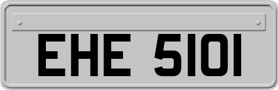 EHE5101