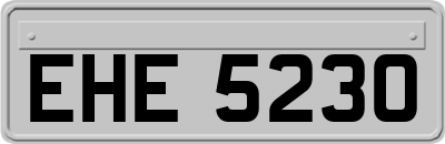 EHE5230