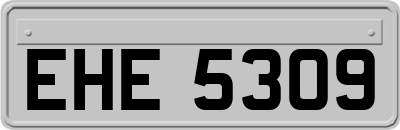 EHE5309