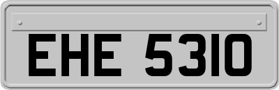 EHE5310