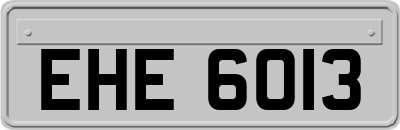 EHE6013