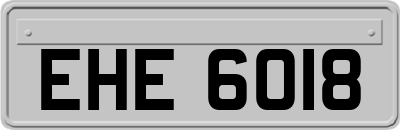 EHE6018